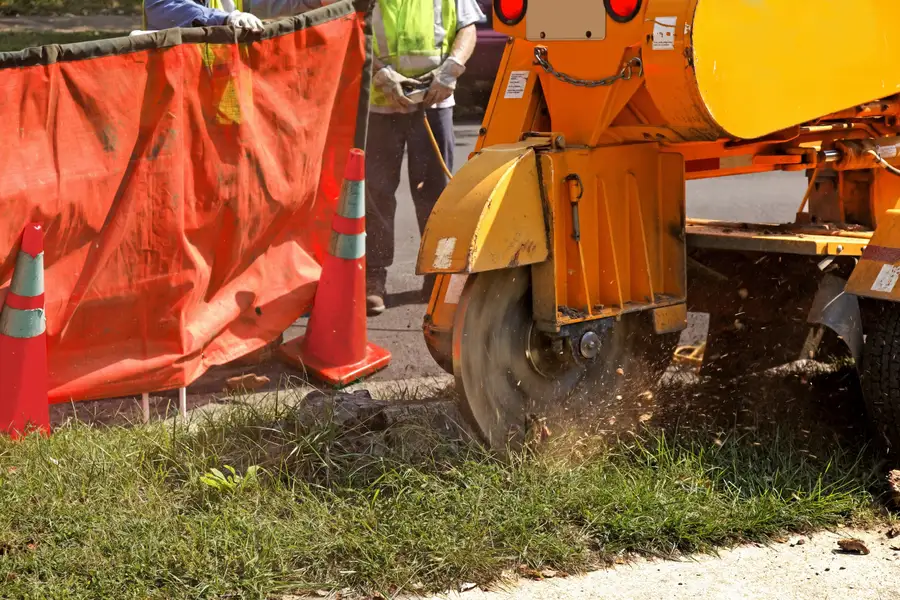 Affordable Stump Grinding Chapin, SC