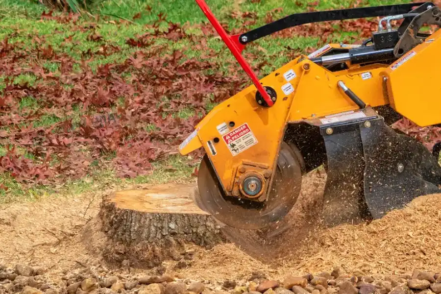 Expert Stump Grinding Chapin, SC