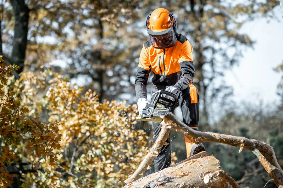 How Tree Cutting Enhances Property Safety And Aesthetics Chapin, SC